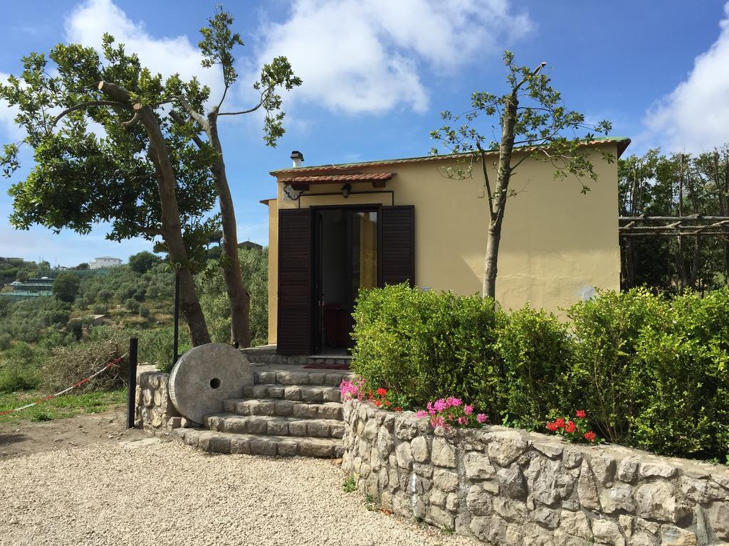 Neranya Apartment Massa Lubrense Exterior foto
